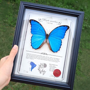 ���l���{�W�������˱����������Ů�������P��ҹ����[��Ů������