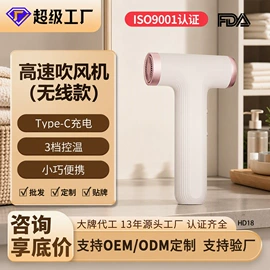 筋膜枪;电子美容仪;电吹风