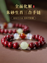 2025���걾������ɰ�ִ�Ů�����ù���ţ����̫�q������o�����Y��