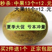 �����_�h�� �й�/���/�ش���� �V���خa �������� ��Ʒ