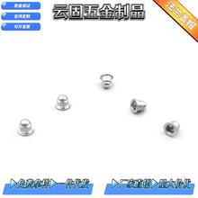 �X�Ͻ��m�wñ���^��һ�w�wñ�B�w���^�A���b����֧�ֶ���