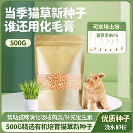 批发小麦种子猫草麦芽糖小麦草种子500克装营养丰富发芽率 高新种