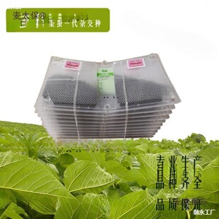 �����r����B�Q�N�Q���Q�����Q�N�����a�߮a���������N������̫��