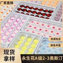 幻花永生花A级2-3奥斯汀21朵/盒diy巧克力花材材料生日钥匙扣挂件