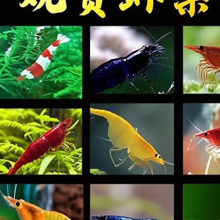 �Ꭷ�^�p�r���w��ˮ����ښ��rˮ���r�ѻ��r�ݸ׳����r�����r���]