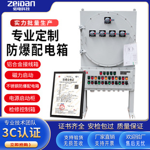 Customized Indoor and Outdoor Carbon Steel Explosion-Proof Distribution Box Plc Control Cabinet Magnetic Start Maintenance Power Instrument Wiring Box