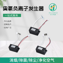 厂家供应等离子发生器冰箱除味猫砂盆高效臭氧臭氧负离子发生器