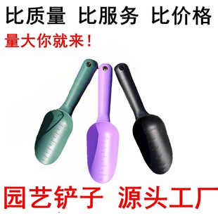 �Ӻ�@ˇ�P�������������ϼ��÷N�������̨�N�˶����s���N���P��