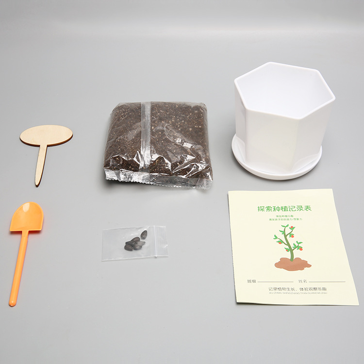 Explorar la plantación de plantas en maceta pequeñas para niños observación del crecimiento de plantas verdes pequeños experimentos creativos de los estudiantes pequeños agricultores de flores interesantes image 4