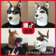 Factory Halloween cosplay Funny Animal Headgear Funny Mask Sand Sculpture Shake Funny Props Cross Border