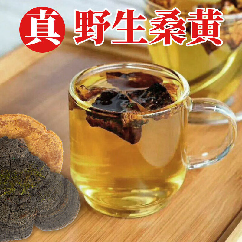 Sanghuang Mushroom 500g Dried Phellinus from Mulberry Tree Traditional Herbal Tea and Decoction Herb key features