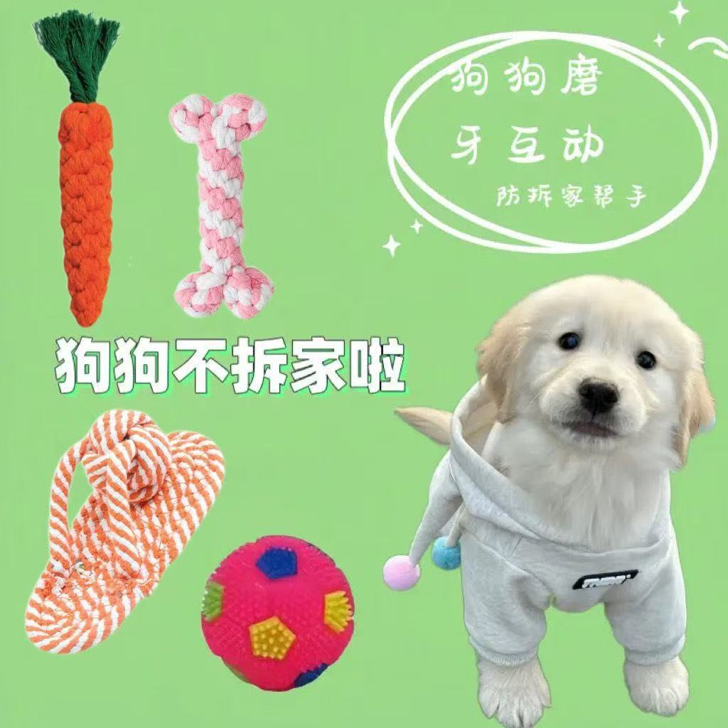 Cordón tejido juguetes de mascotas resistentes a la mordida dientes de perro juguetes de limpieza de dientes perros pequeños y medianos fábrica de entrenamiento interactivo al por mayor