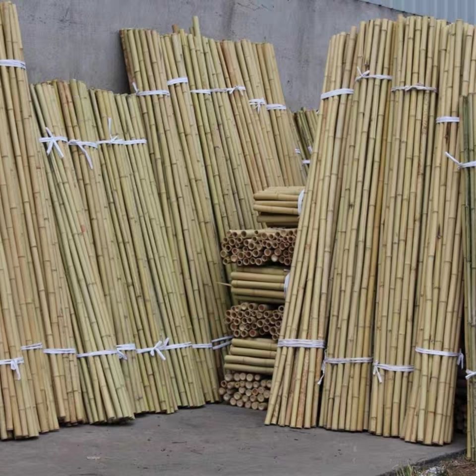 防腐竹竿户外装修爬藤架毛竹竿菜园搭架装饰竹子细竹竿跳杆旗杆