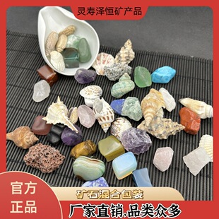 Manufacturer Wholesale 2-3cm Large Particle Raw Stone Ore Mixed Conch Shell Fish Tank Landscaping Decoration Can Be Packed in Small Bags