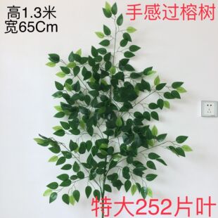 �Ř�֦�^�z�ָ��Ř��~���҃ȼ٘�֦�Gɫֲ���y�Ӽt�����~�쾰