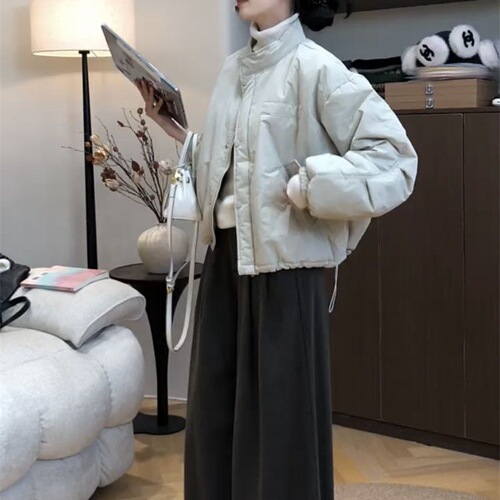2026 Winter Internet-Famous New Fashionable Thin Cotton Jacket Short Coat Women's Korean-Style All-Match Stand-Neck Loose Cotton Padded Jacket