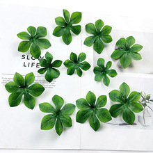 ������R���~ diy�ٻ��Gֲ�쾰��Ƭ�·��^�������zӰ��ˇ�[��