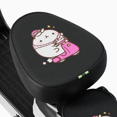Electric car cushion – Cushion Cover Four Seasons Universal - waterproof-sunscreen-rogue-pig-front-seat