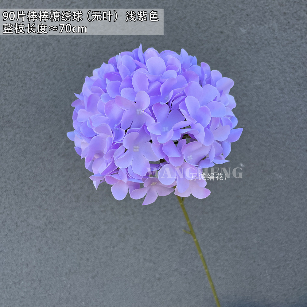 보라색 90 롤리팝 수국 (잎 없음)