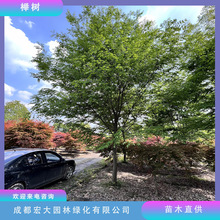 �t�Θ��ľ�������l�����Θ��������е��乫�@�@�ֹ��̾G����ľ