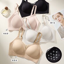 �¿�ܛ֧�������۔nbra�o�۹̶����۔n�����z�lȫ�̶�������