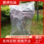 定制防冻大号高品质苗木
