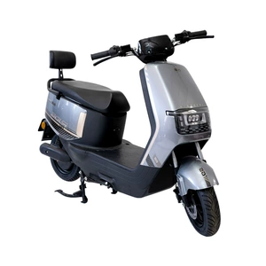 Energy-Saving High-Speed Electric Motorcycle for Urban Commuting, 48Vce/Eec Certified Electric Motorbike with Long Range
