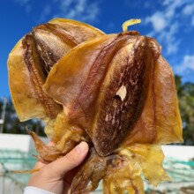 ���ɴ�̖ī�~��؛���\Ŀ�~�ɺ��a�Ҝ��ͶYʳ�ĳ����������l�S��