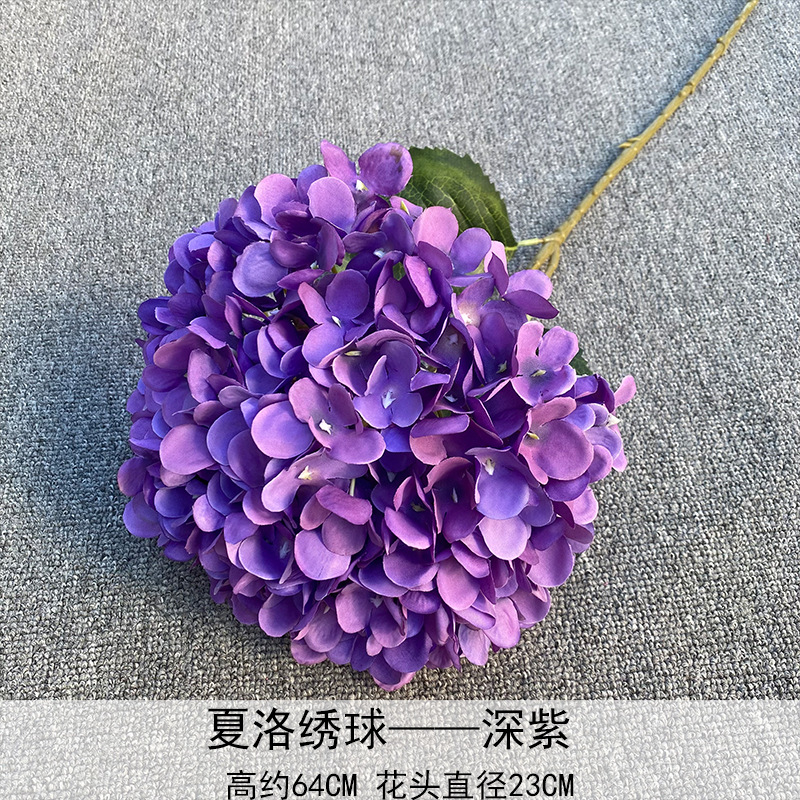 Hortensia Choro púrpura oscuro