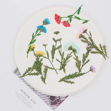 ȉոɻlDIYѺϰzbֲ˱S؛