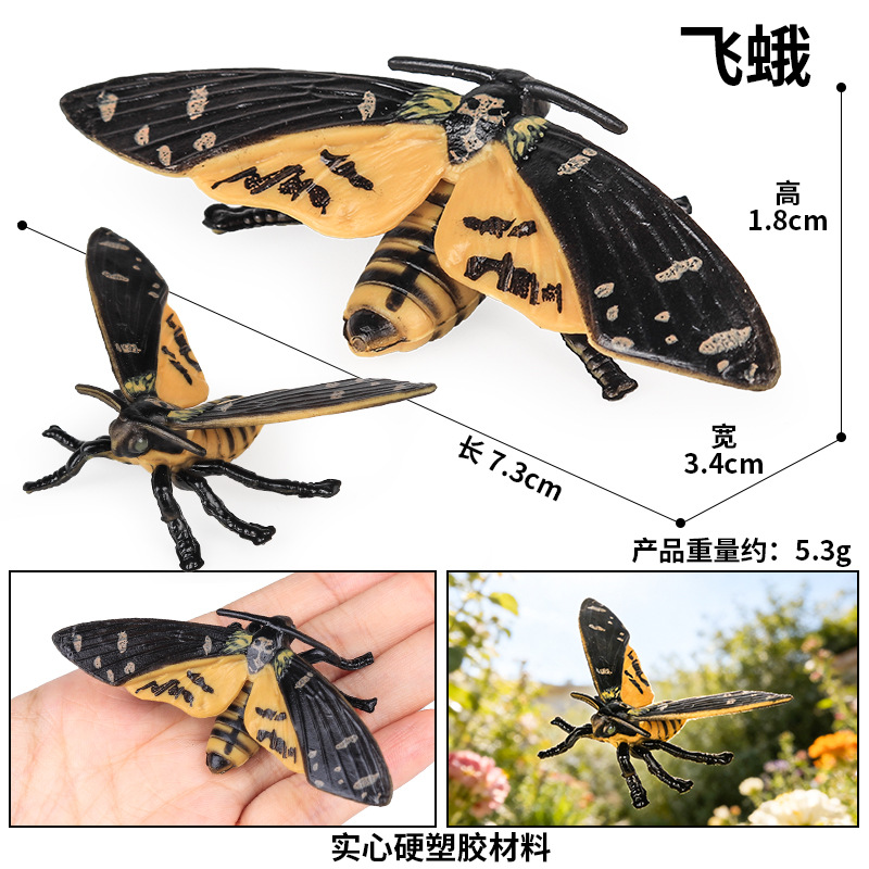 3669 polilla
