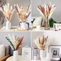 ドライフラワー卸売本物の花パンパス草小さな葦ウサギ尾ダスト小さな蒲葦北欧風ドライフラワーブーケ
