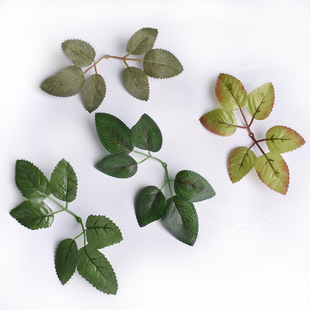 �B�w6�~õ���~����ֲ���~Ƭ���滨����ֹ��廨���~����zӡõ��