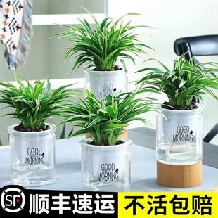 ��߅���m�����·��҃ȃ����՚�����ȩ�Gֲ�k���������̨���Bֲ��