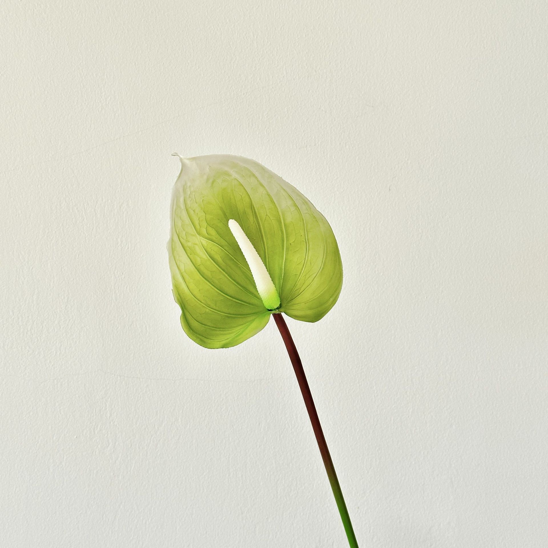 Flores falsas blancas Flores artificiales Flores para bodas Auditorio de bodas Decoración del hotel Techo artificial Flores artificiales Flores falsas