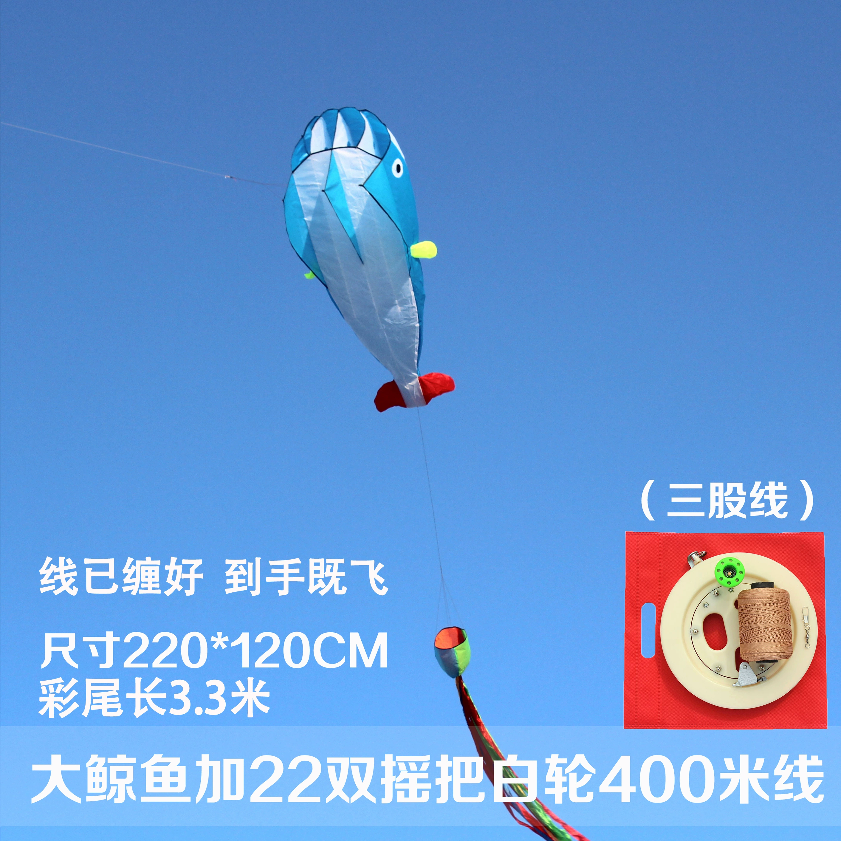 Kite for adults
