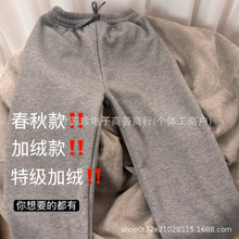 ���qŴ��ѝŮ2025�¿��ﶬ��ֱͲ㼑����e�ӽq�Ӻ�С�������ѝ