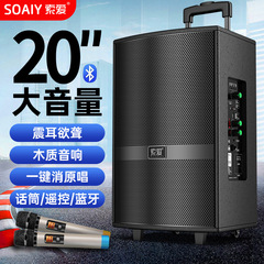 Sony Ericsson F36 Square Dance Speaker Outdoor Performance K Song and Dance 15-inch Mobile Trolley Bluetooth Speaker with Microphone