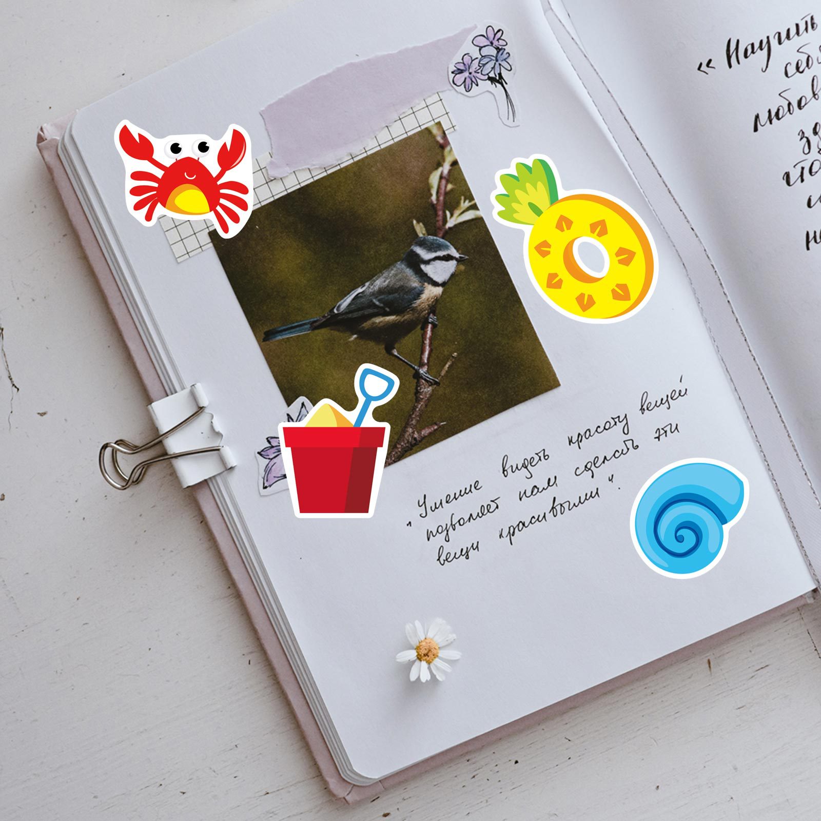 Suministro DE LOS NIÑOS pegatinas verano Hawaiano playa tropical calcomanías etiqueta