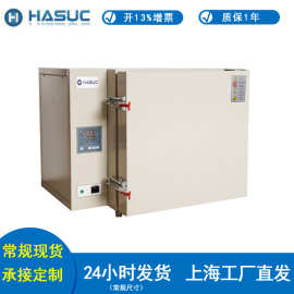 HASUC 烘箱干燥箱 电热恒温干燥箱电热鼓风烘箱热风循环 烘干箱