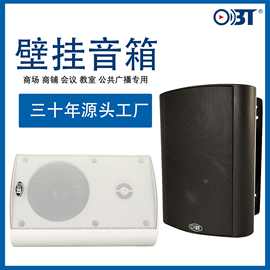 定压壁挂音箱20/30/40W公共广播背景音乐音响