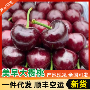 ���Fժ�F�l���������Ҵ��۶�֭܇������S���\�Y�д���a��ֱ�l