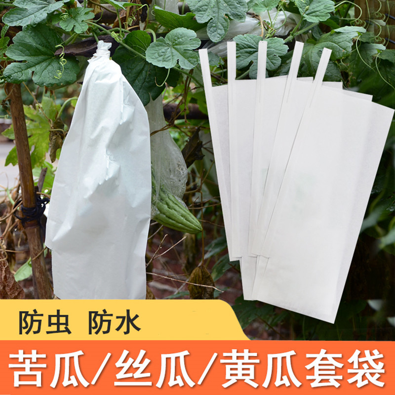 苦瓜丝瓜黄瓜套袋青瓜水果袋瓜果套果袋透明防虫袋塑料纸袋套