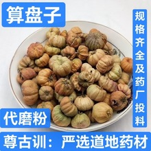 P ș P f Ұë ɽ z^ {ӝL