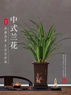 ���F�m��������͡���܊�����mī�m�҃������ļ��m�����̨�Gֲ