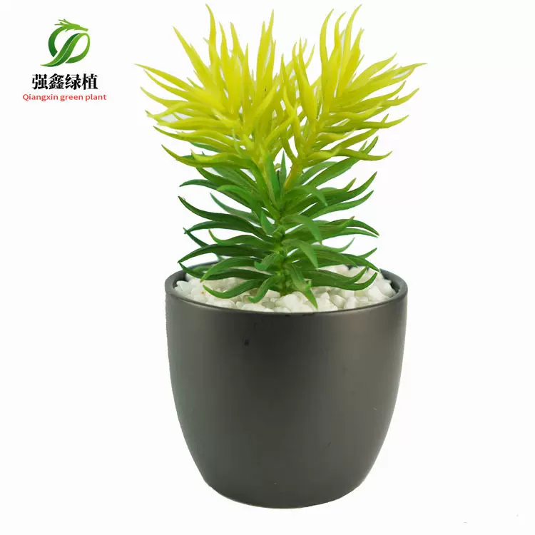 仿真松针 塑胶花多肉植物石竹 绿植组合盆栽花卉水草假草户外造景