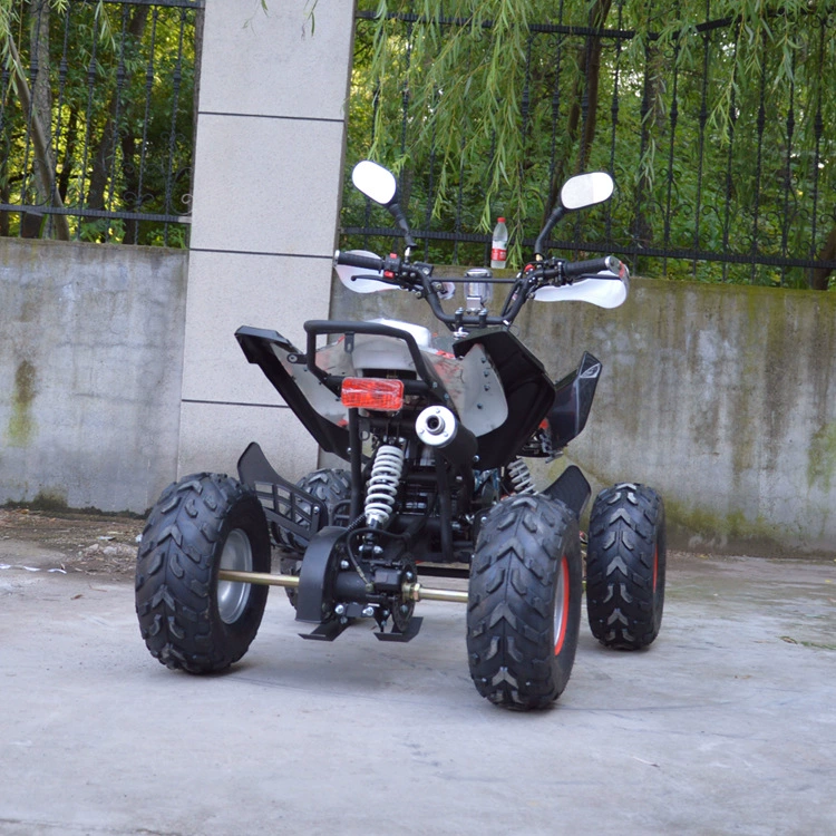 Прямые продажи завода 110CC-150CC взрослый ATV четырехколесный внедорожный мотоцикл вседорожный ATV Маленький Марс
