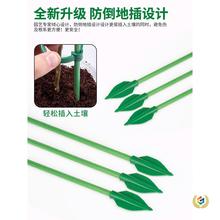 ?@ˇ֧ΗU̶̶ֲܹ֧ܹﻨUٷ