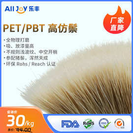 乐丰多丽丝新高仿白猪鬃PET/PBT小中空波纹磨尖油漆乳胶刷用刷丝