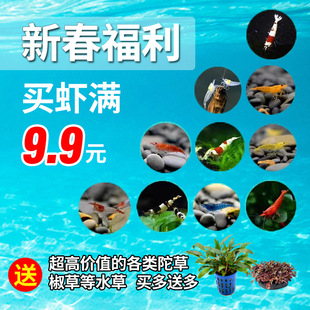�^�p�r��ˮ�r���w�~�׳��幤���r�ѻ��r��ˮ���r�O���rС�����r